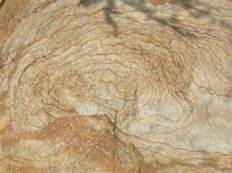 Sandstone Growth Rings