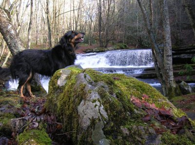 Chazzy Enjoys the Falls