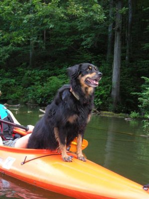 Claytor Lake - July 24-25, 2009