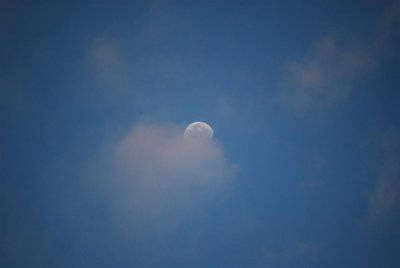 g1/54/616454/3/115924836.jsS1qBSp.jpg