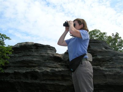 Scanning for Raptors