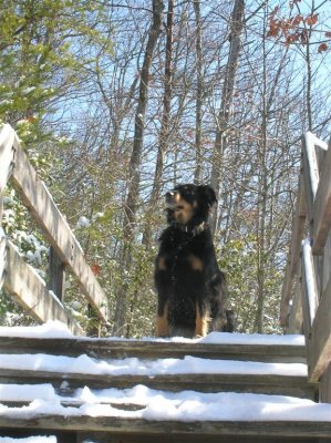 Chazzy On Guard