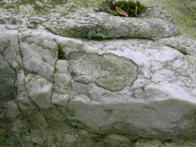 Tuscarora Sandstone