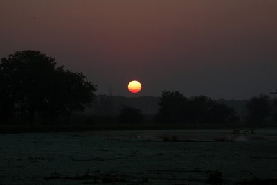 IMG_2618.jpg