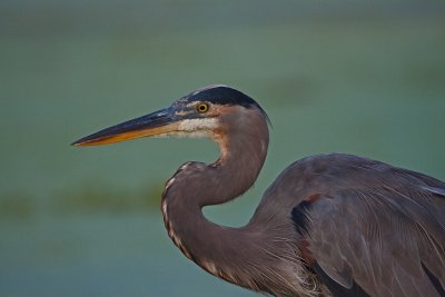 IMG_2634.jpg