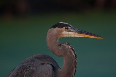 IMG_2641.jpg
