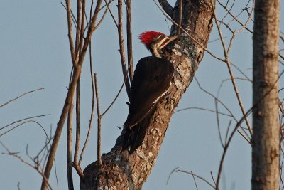 IMG_2664.jpg