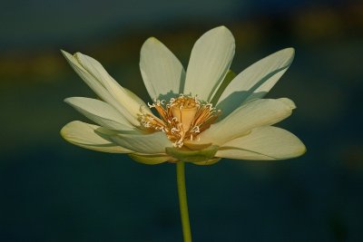 IMG_2687.jpg