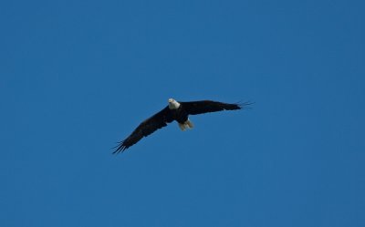 IMG_3598b.jpg