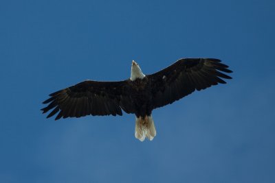 IMG_3608b.jpg