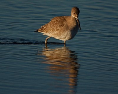 IMG_3898.jpg