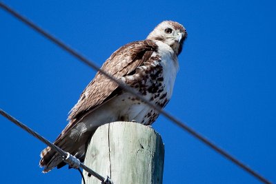 IMG_4000.jpg