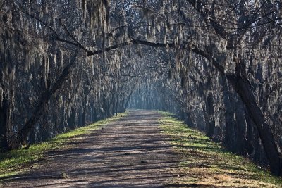 Spillway Trail