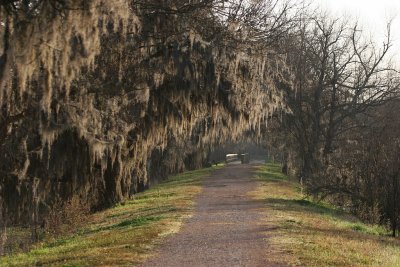 40 Acre Trail