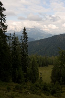 AL3_3363.jpg