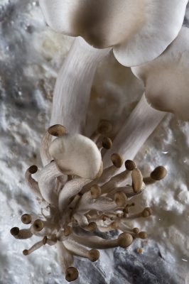 AL3_3927.jpg
