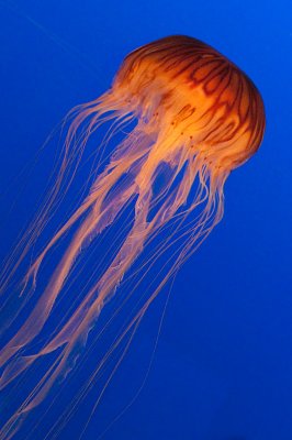 AL4_9347.jpg