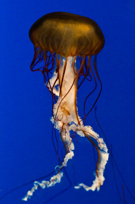 AL4_9379.jpg