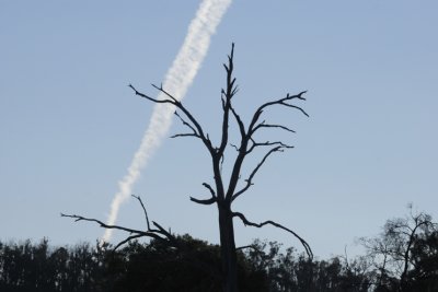 Spreading con trail