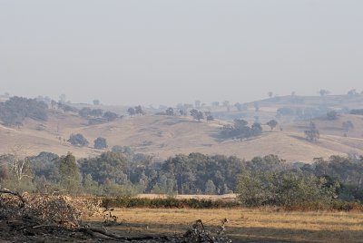 Early morning smoke haze from controlled burns.