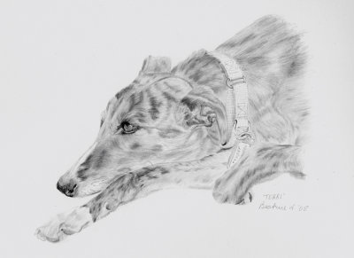 Scan of graphite sketch of Terri