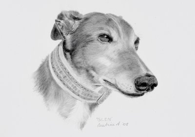 Scan of a graphite sketch of Glen.