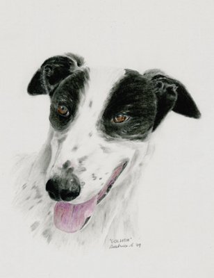 A scan of Goliath using Derwent Tinted Charcoal pencils.