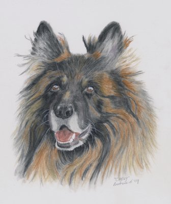 A scan of Chevy for my friend, using Derwent Tinted Charcoal Pencils.