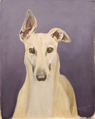 GAP Greyhound Billy now adopted. 