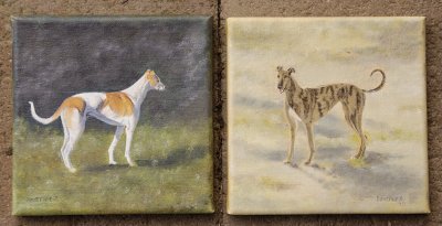 ex foster Greys Bobby and Lainie in water mixable oils on 6 x 6 stretched canvas.