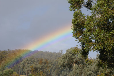 Rainbow - from our back verandah.