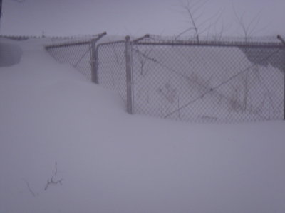 An old dog pen we don't use...big drift!