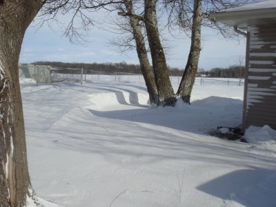 Back yard view...neet snow drift