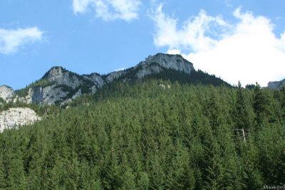 IMG_12203.JPG