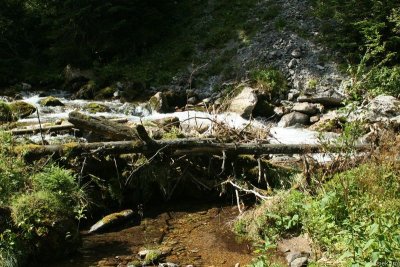IMG_12214.JPG