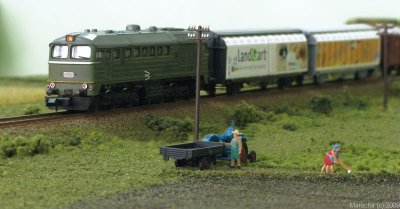 IMG_9934.JPG