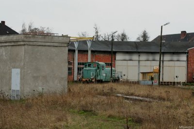 IMG_10328.JPG