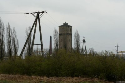 IMG_10330.JPG