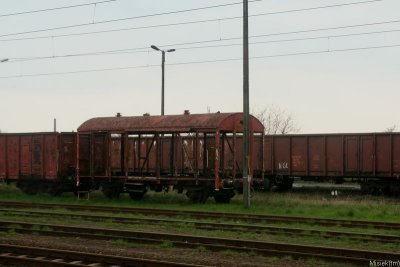 IMG_10333.JPG