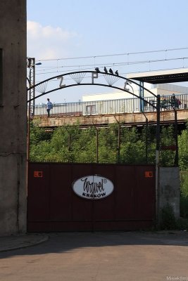 IMG_16770.JPG