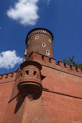 IMG_16817.JPG