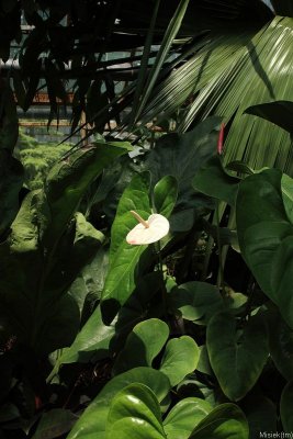 IMG_16897.JPG