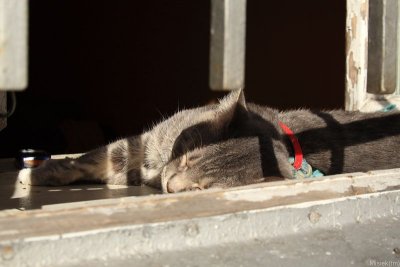 IMG_16962.JPG