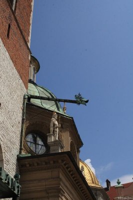 IMG_16976.JPG
