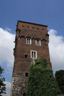 IMG_16988.JPG