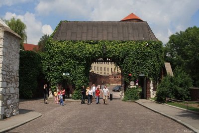IMG_16998.JPG