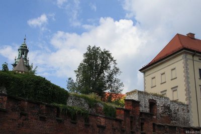 IMG_16999.JPG