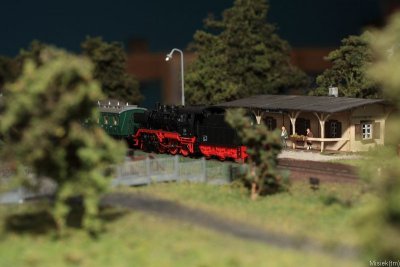 IMG_17046.JPG