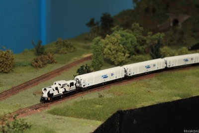 IMG_17048.JPG
