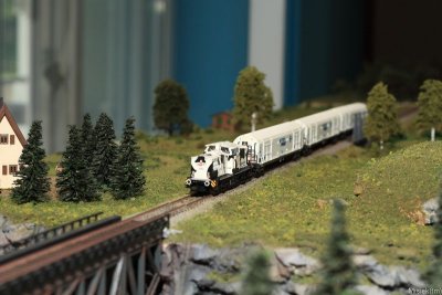 IMG_17050.JPG